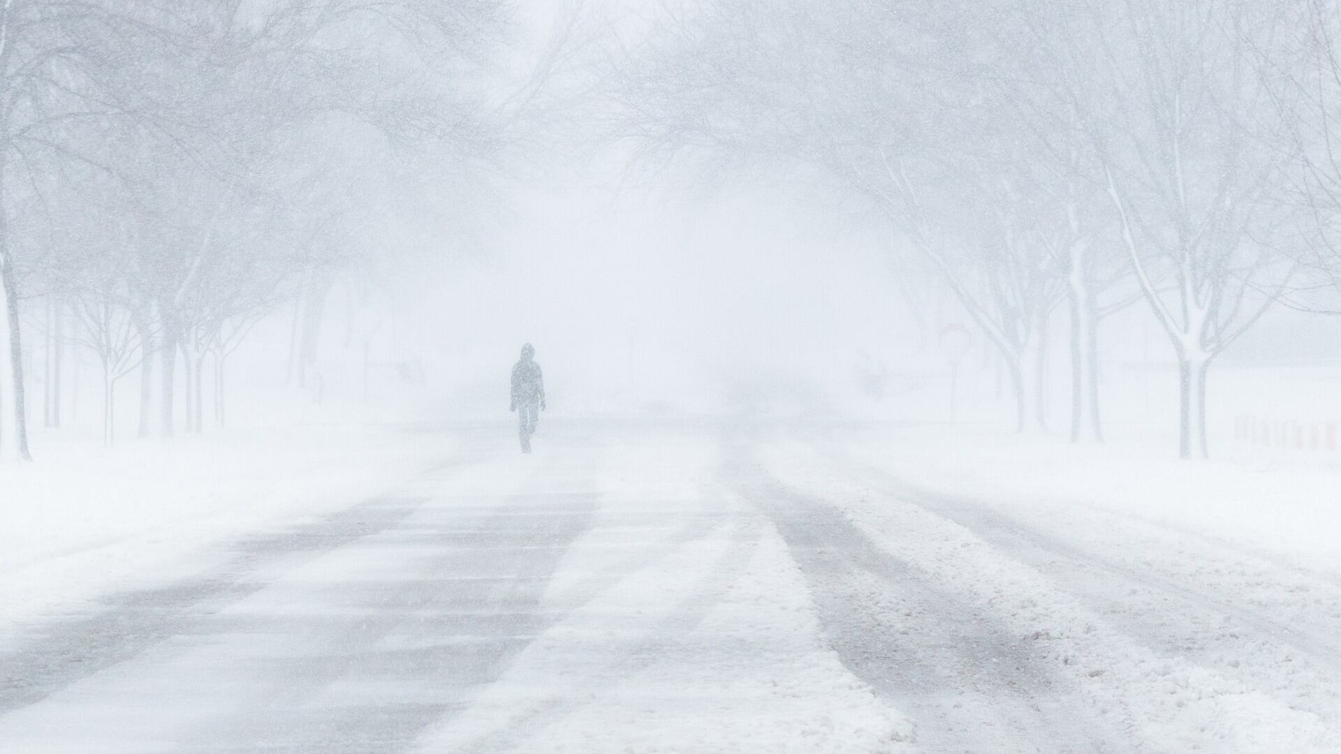 Tormenta de nieve / Pixabay