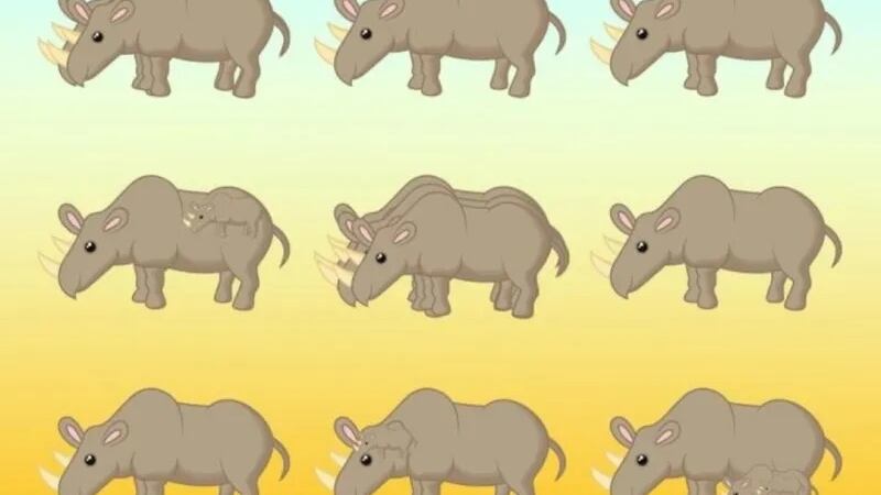 ¿Cuántos rinocerontes hay en la imagen?