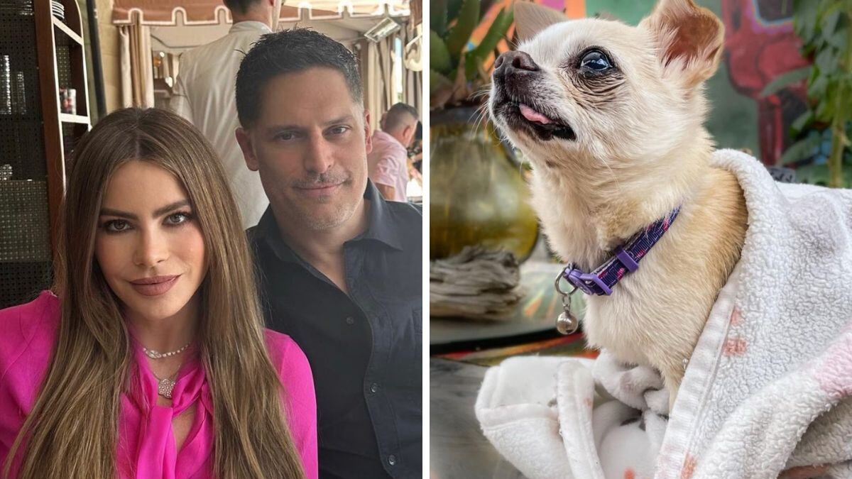 Sofía Vergara y Joe Manganiello esperan llegar a un acuerdo.