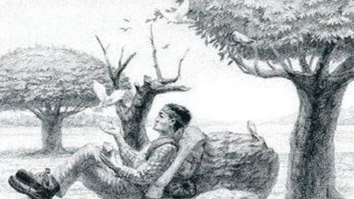 Encuentra el caballo oculto.