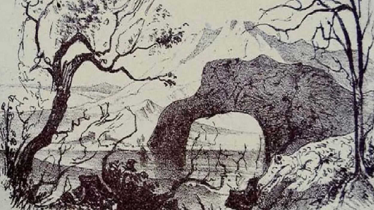 Descubre los animales ocultos.