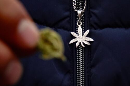 Estudio revela que el consumo de marihuana puede estar relacionado a cambios genéticos