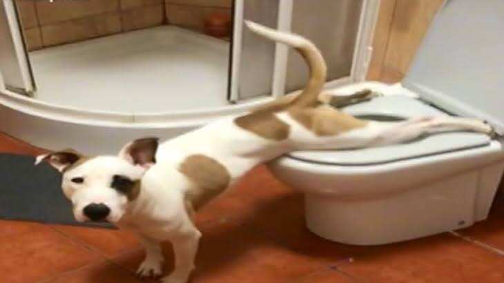 Su actitud sorprendió en redes sociales.