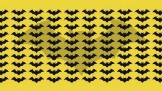 Localiza le murciélago que es diferente.