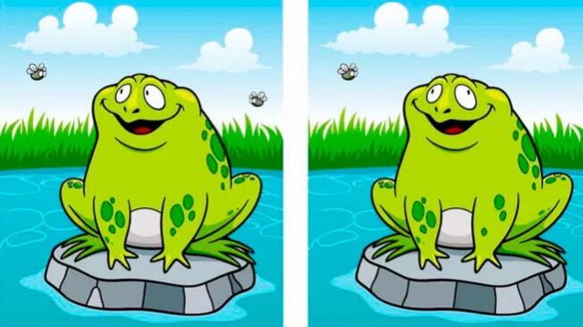 Los sapos no son iguales, fíjate bien.