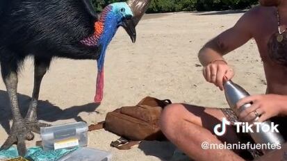 Compartieron con un casuario