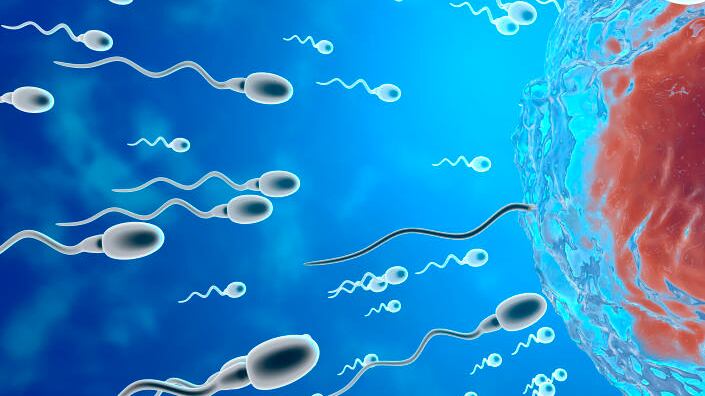 La capacidad reproductiva de los hombres ha disminuido drásticamente en las últimas décadas.| Foto: Getty Images