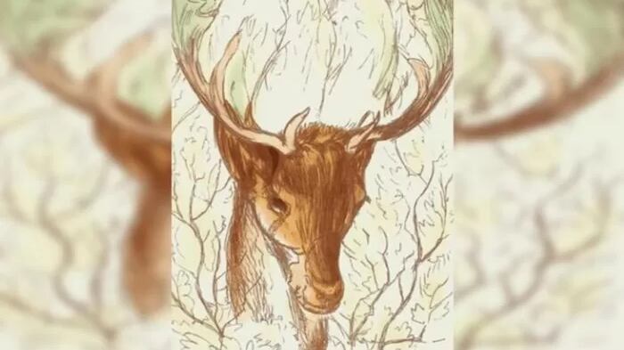 Localiza a la mujer oculta.