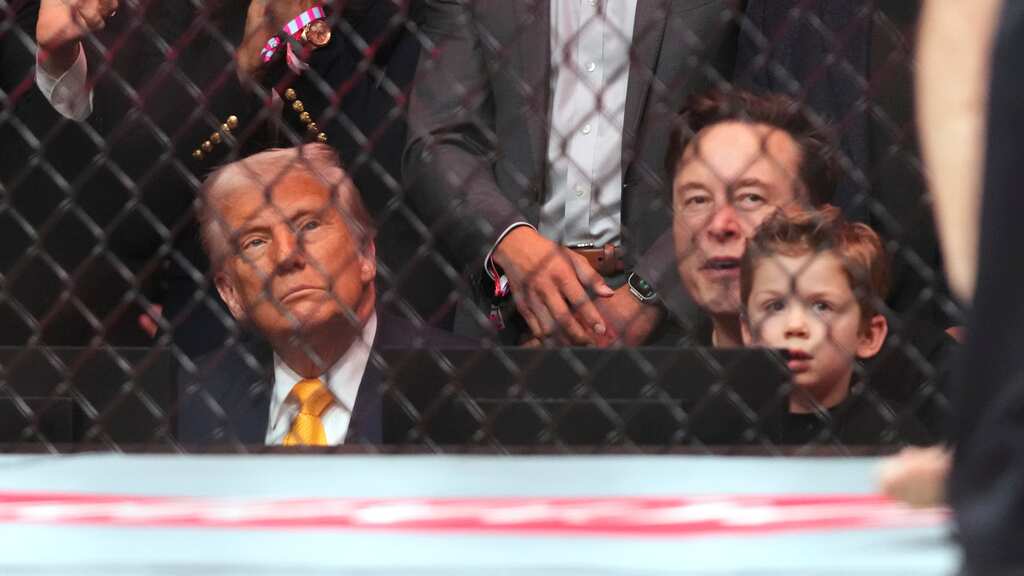 Trump UFC