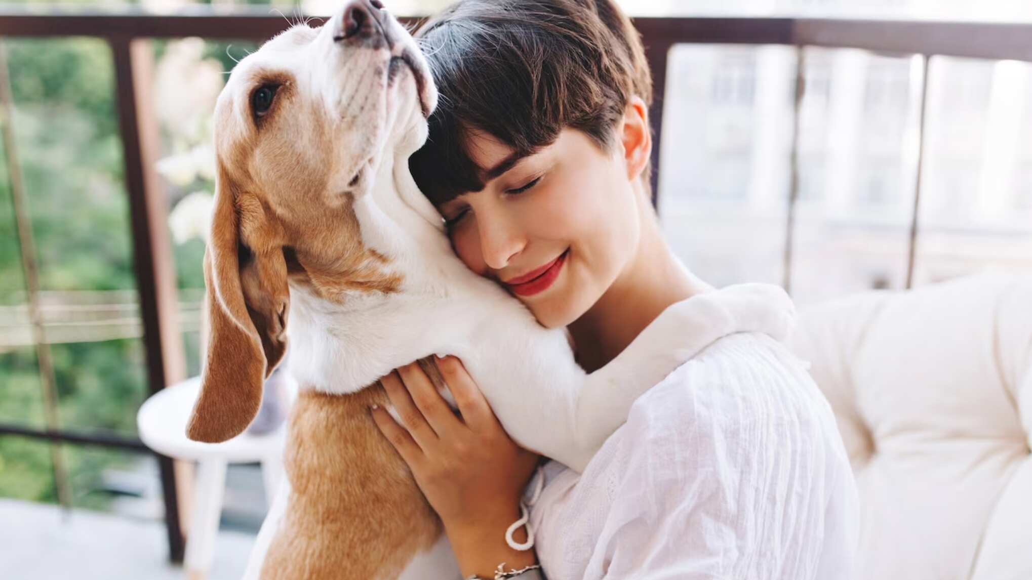 Tienes que evaluar si tienes tiempo para cuidar una mascota