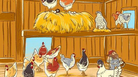 En las gallinas hay varios errores.