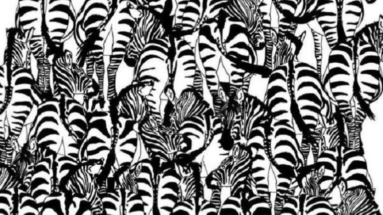 Encuentra la ardilla oculta.