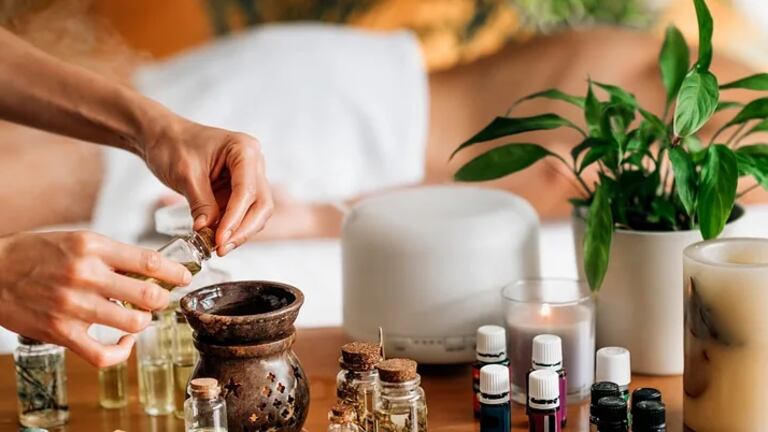 El aloe vera tiene propiedades antiinflamatorias.