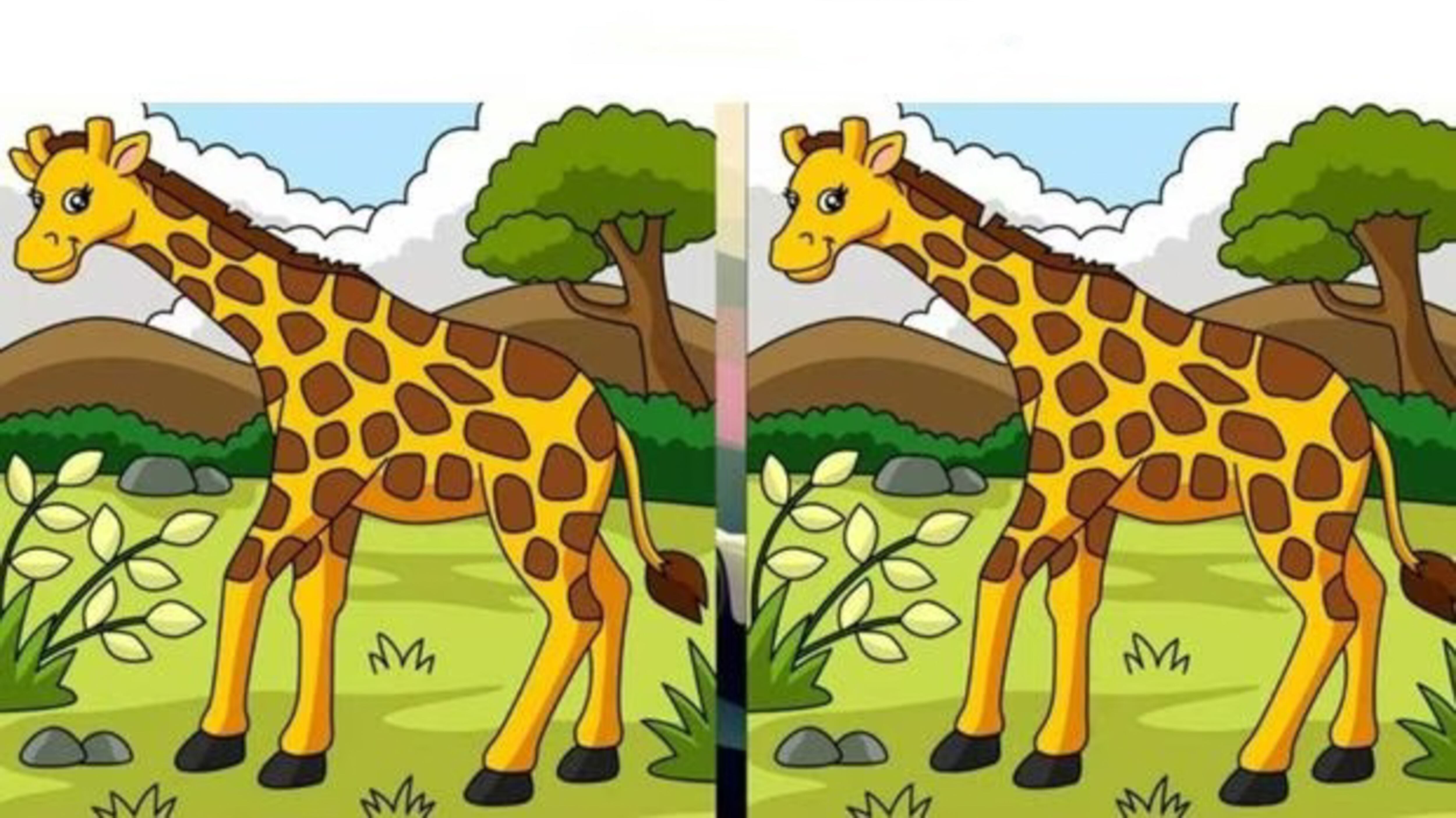 Encuentra las diferencias.