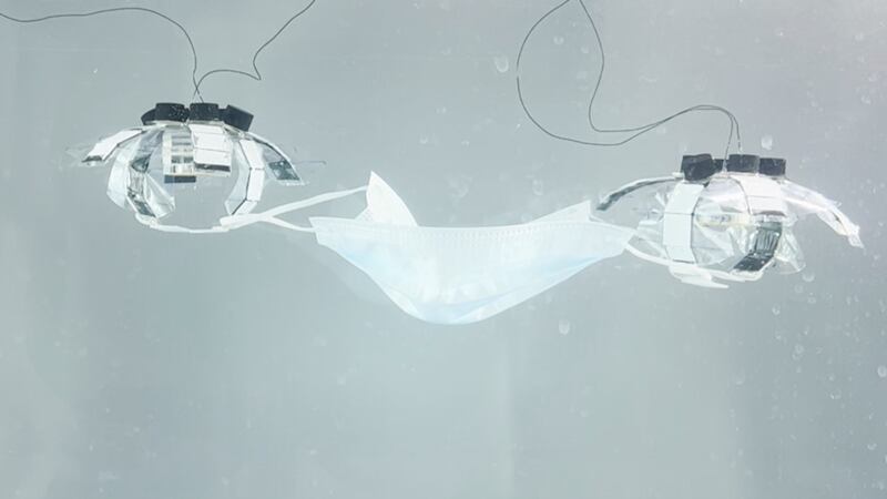 Jellyfish-Bot