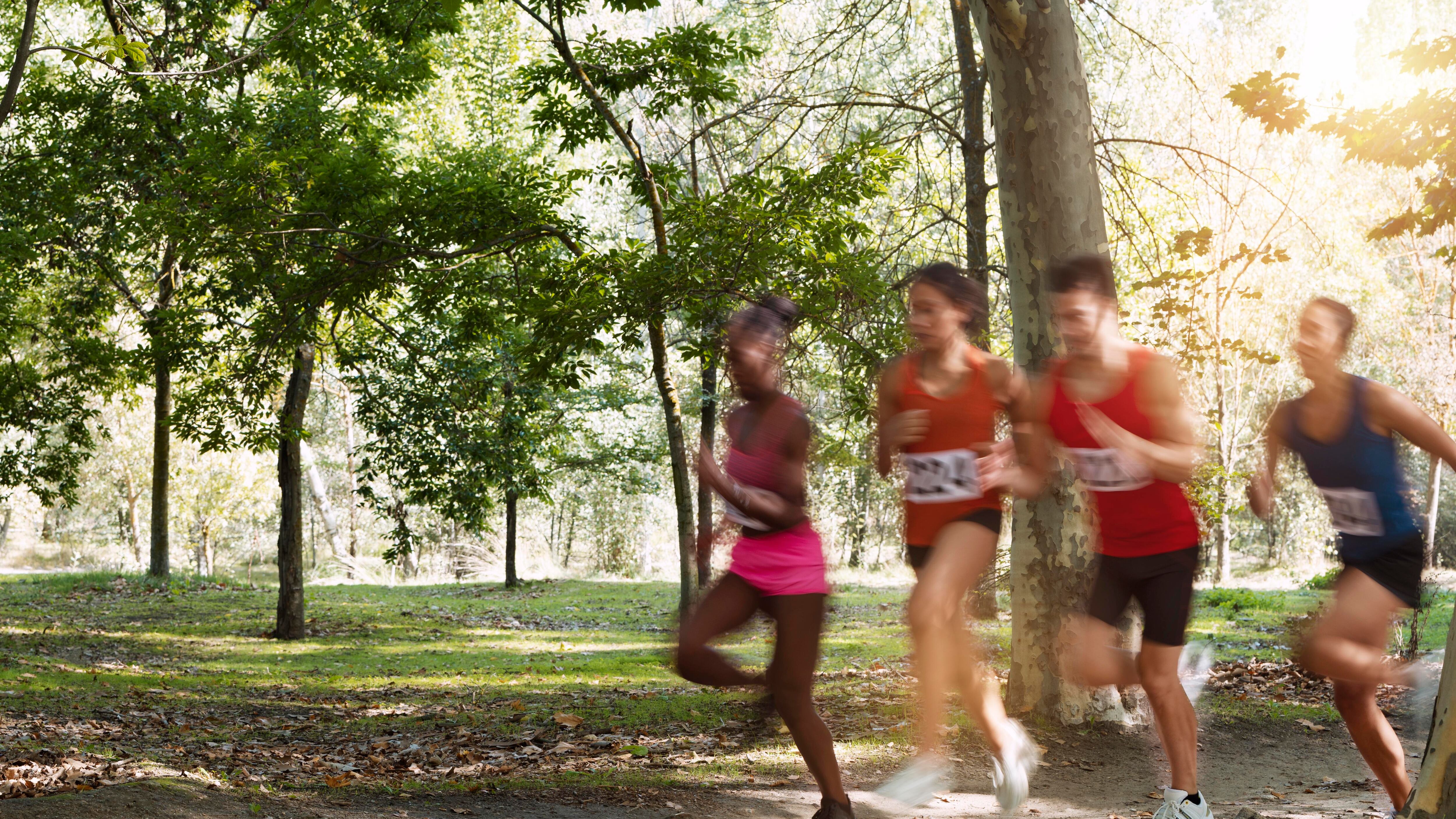 El evento reunirá, en el Bosque de Chapultepec de Ciudad de México, a 3,000 corredores de la comunidad universitaria y público en general el 26 de octubre de 2025. Foto: Freepik.