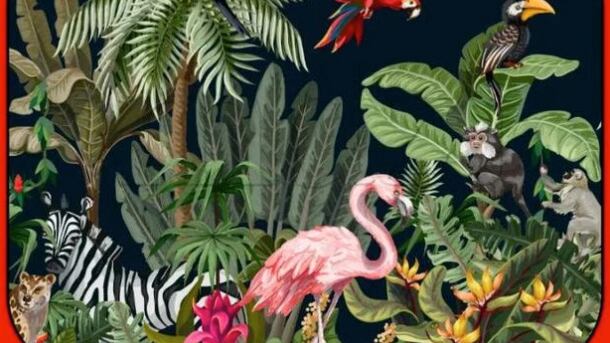 Aquí está el cocodrilo.