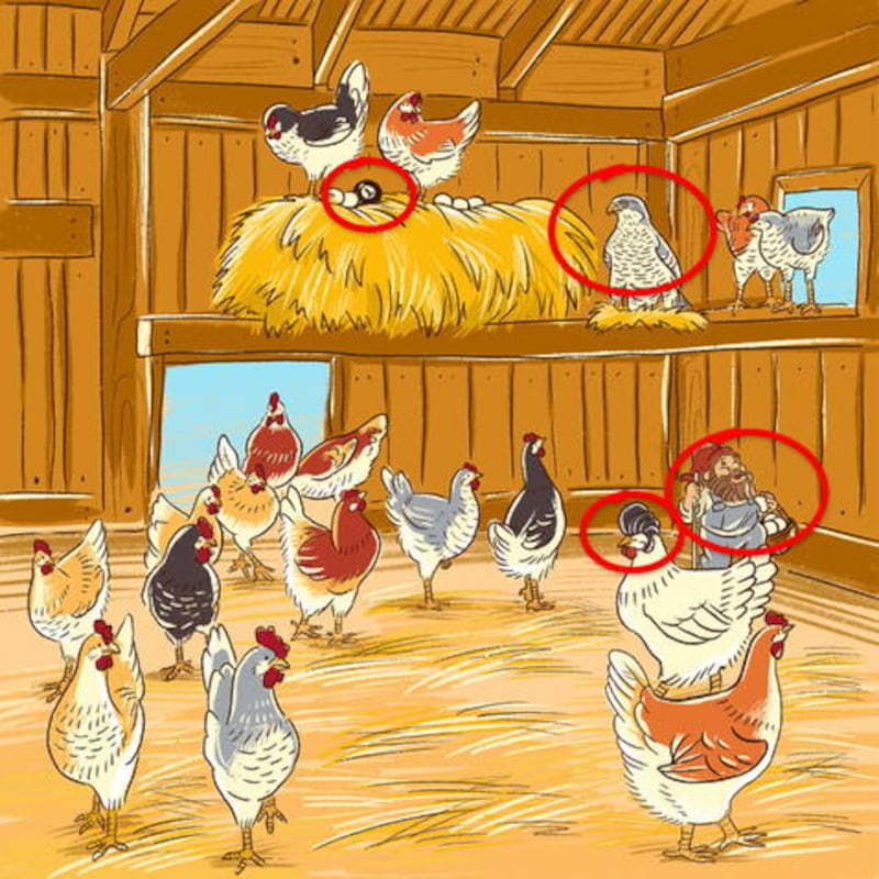 En las gallinas hay varios errores.