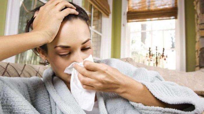 Aparte de verano, la gripe también suele aparecer en otras temporadas.