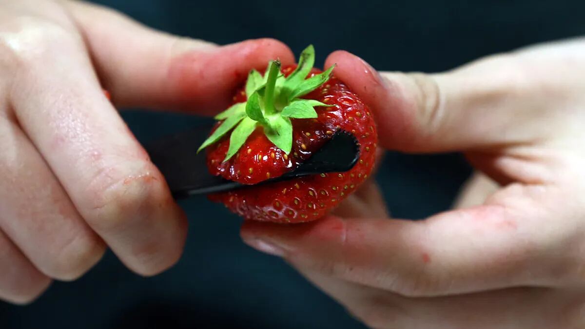 Las hojas de la fruta de color rojo son ricas en elagitanina.