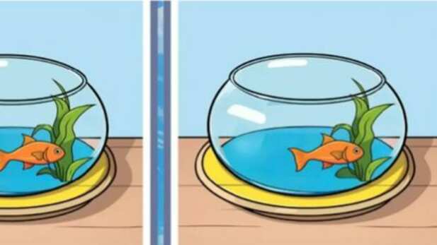 Encuentra las diferencias.