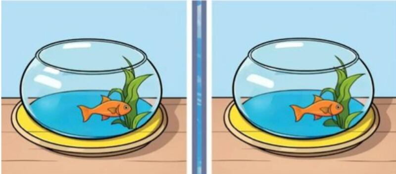 Encuentra las diferencias.