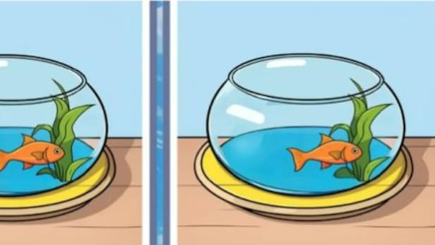 Encuentra las diferencias.