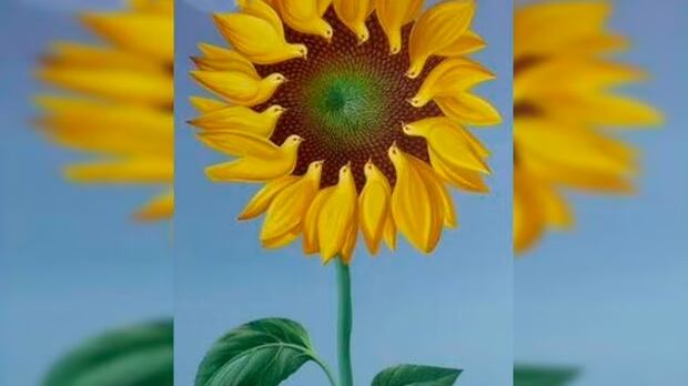 Pon atención a la imagen y elige una opción.