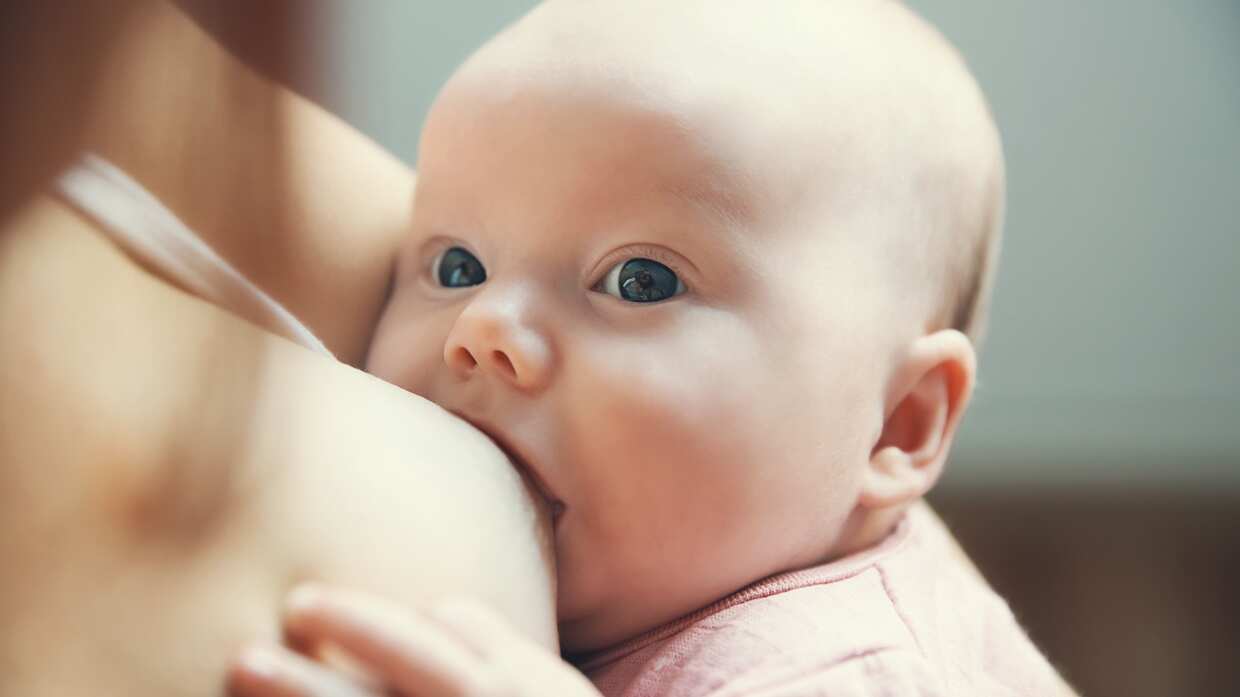La Lactancia materna tiene multiples beneficios para los niños en su crecimiento intelectual.| Foto: Referencial