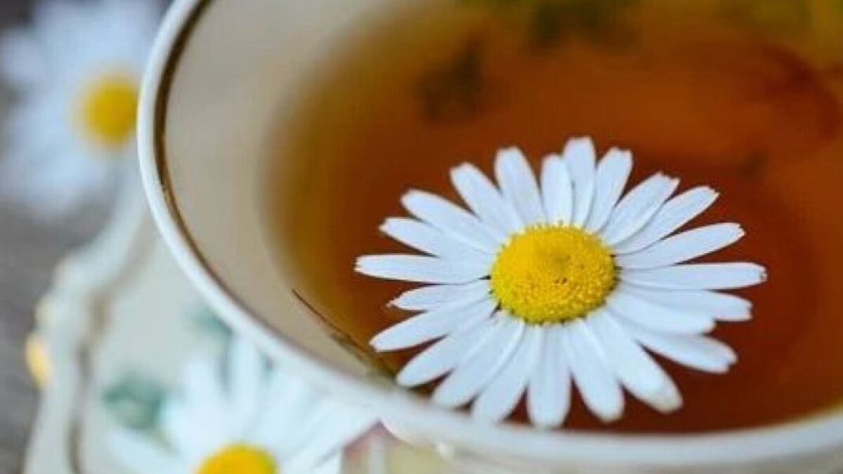 Feng Shui: el ritual con manzanilla que debes hacer sí o sí en febrero para atraer el dinero