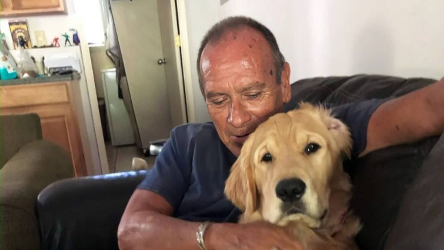 Perrito en manos de Franklin Trejos, de 68 años.
