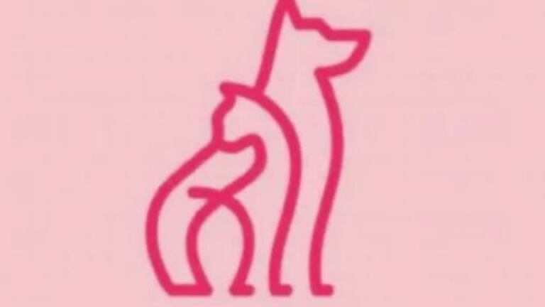 Descubre qué ves en la imagen.