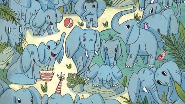 Encuentra al rinoceronte oculto.