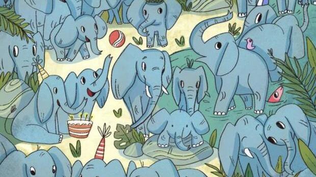 Encuentra al rinoceronte oculto.