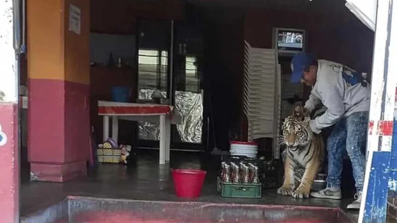 Este hecho preocupó a los vecinos