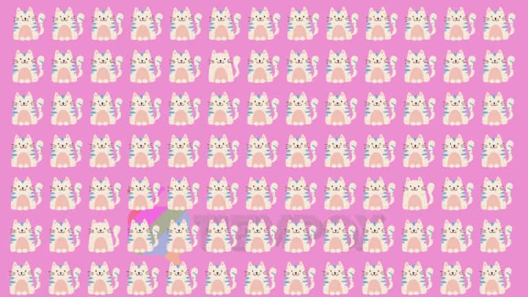 Encuentra los tres gatos distintos.