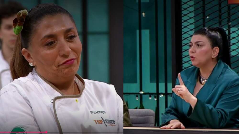 Pincoya y Fernanda Fuentes | Captura: CHV