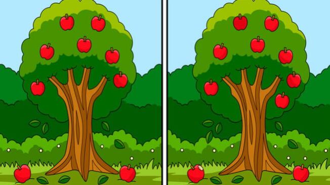 Encuentra la seis diferencias.