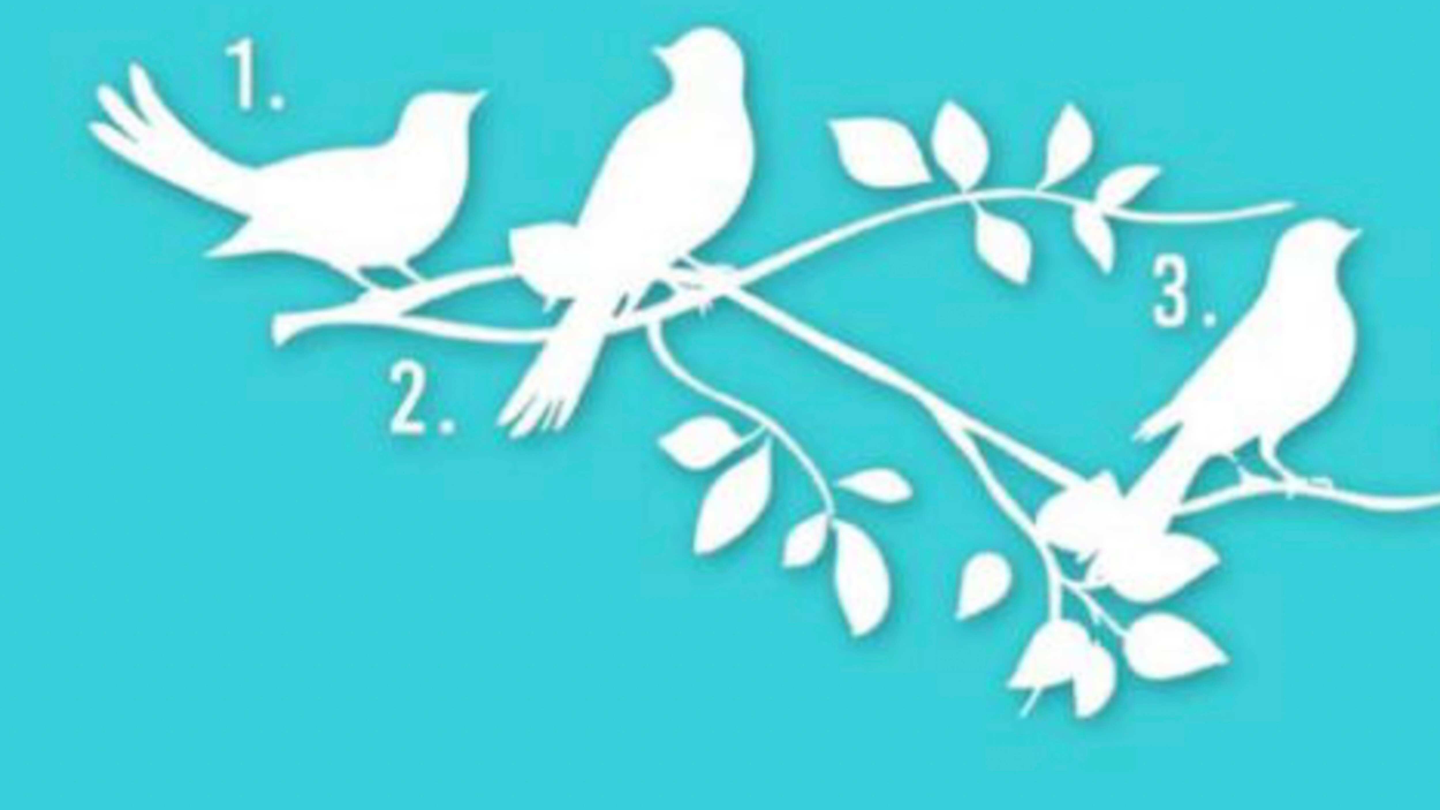 Descubre tu propósito en la vida, al elegir un pájaro.