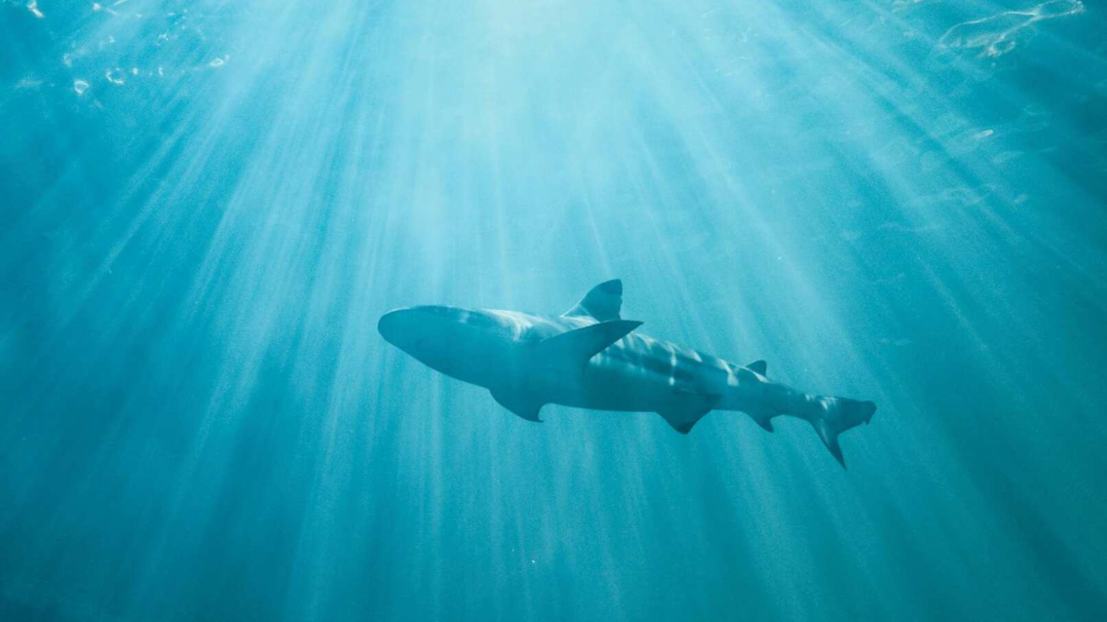 Uno de los afectados tiene 18 años