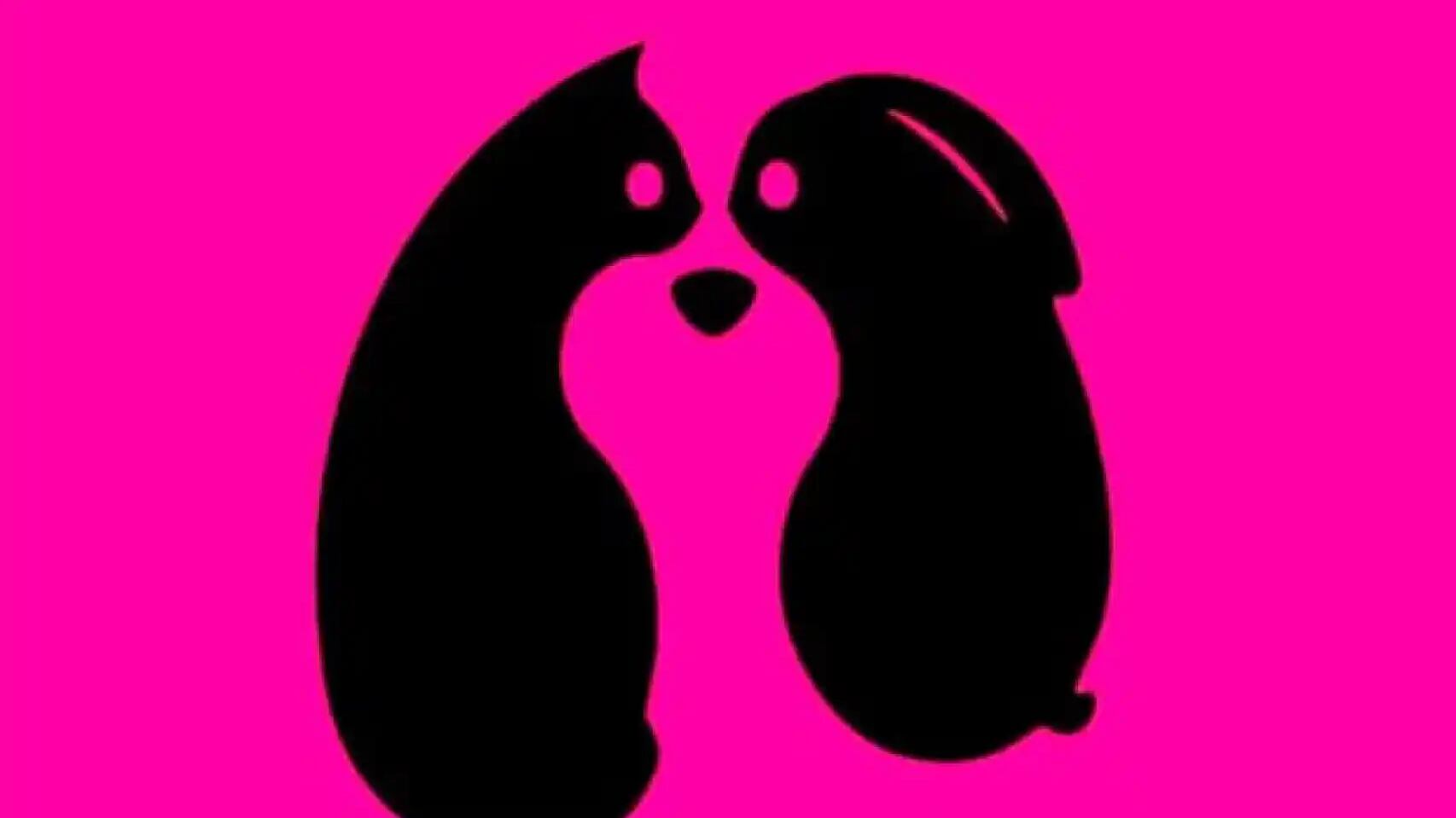 ¿Qué ves en la imagen?