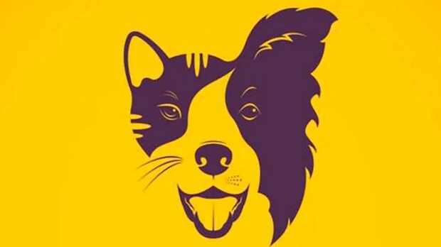 Gato o perro, qué eliges.