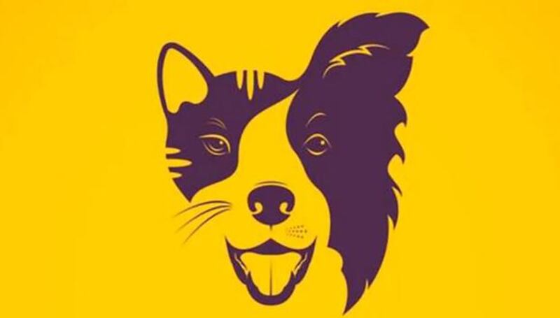 Gato o perro, qué eliges.