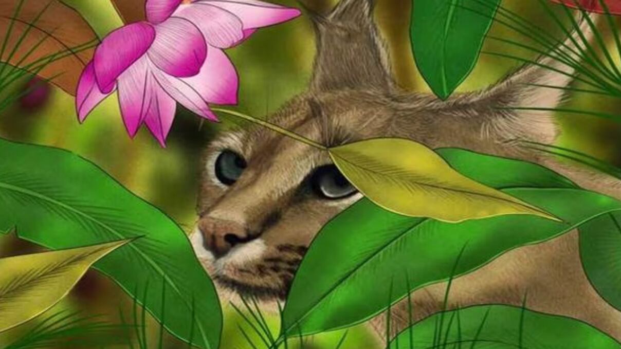 Encuentra al colibrí oculto.