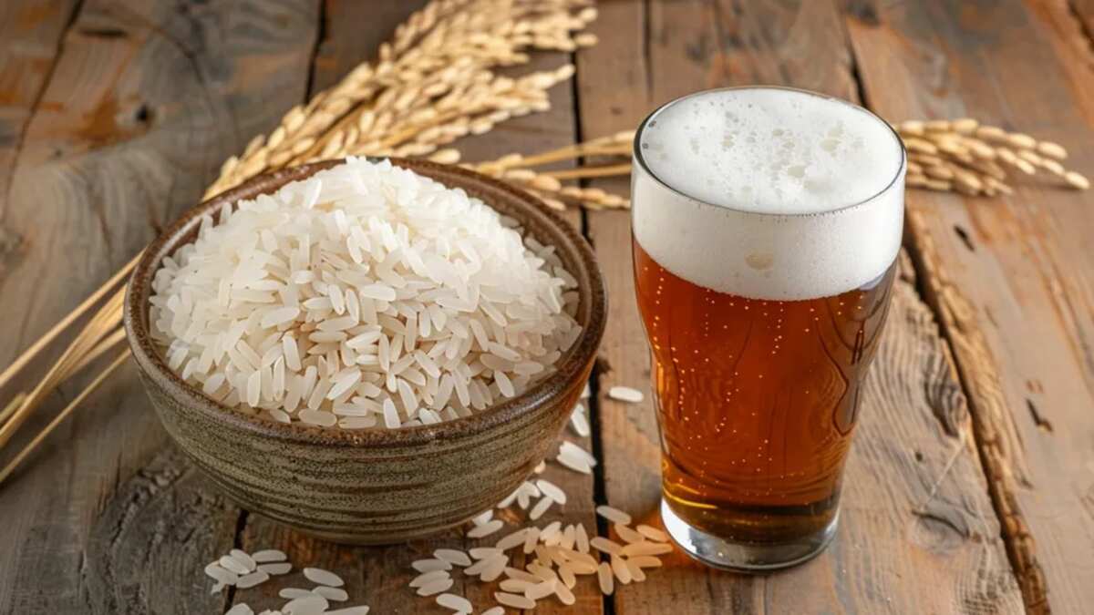 Cerveza de arroz - imagen de archivo
