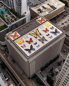 The Miami Collection