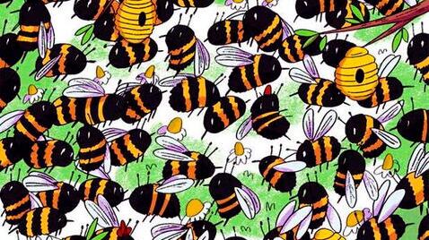 Hay un intruso en la ilustración.