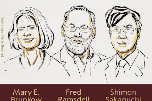 Premio Nobel de Medicina 2025 destacó a descubridores de las células que resguardan el sistema inmune