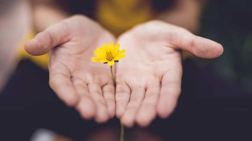 La resiliencia es un factor fundamental