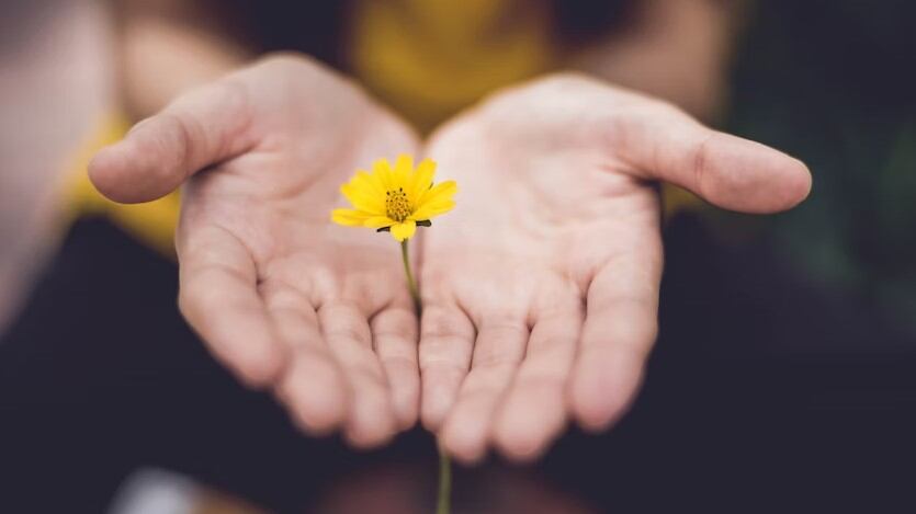 La resiliencia es un factor fundamental